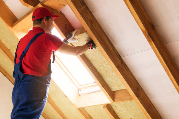 Best Spray Foam Insulation  in Colwich, KS